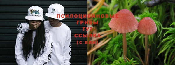 метадон Верея