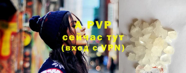 сатива Бронницы