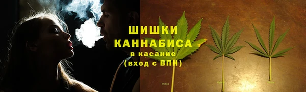 сатива Бронницы