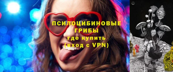 сатива Бронницы