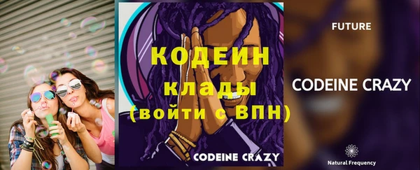 сатива Бронницы